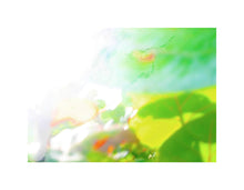 Load image into Gallery viewer, Photo Impressionism - Sea Grapes