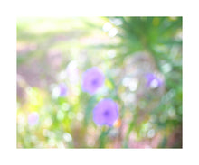 Load image into Gallery viewer, Photo Impressionism - Mexican Petunias