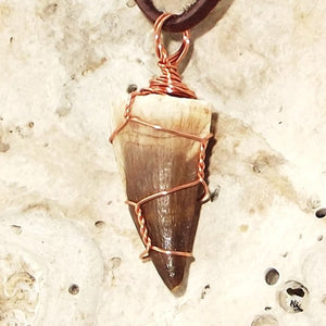Mosasauras Tooth (66 - 82 Million Years Old) Necklace