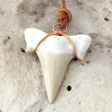 Load image into Gallery viewer, C. Auriculatus Fossil Shark Tooth (33-55 Million Years Old) Necklace